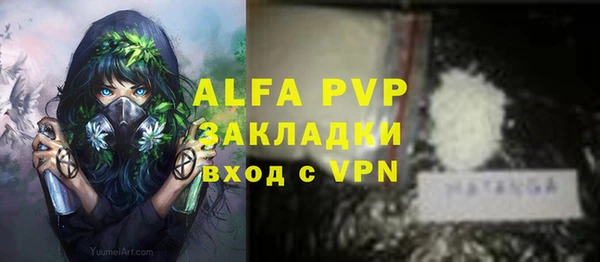 винт Абаза