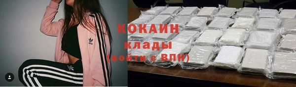 винт Абаза