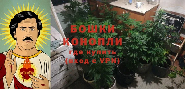 винт Абаза