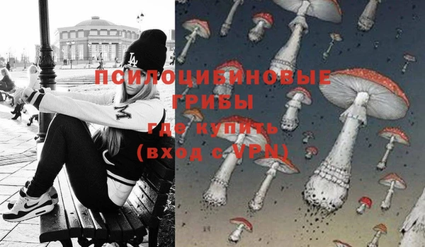 ГАЛЛЮЦИНОГЕННЫЕ ГРИБЫ Абинск
