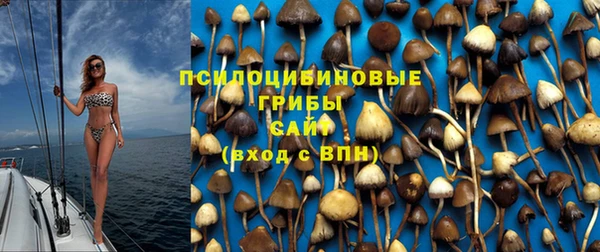 ГАЛЛЮЦИНОГЕННЫЕ ГРИБЫ Абинск