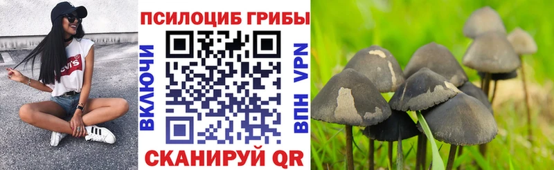 Псилоцибиновые грибы ЛСД  KRAKEN ССЫЛКА  Костерёво 