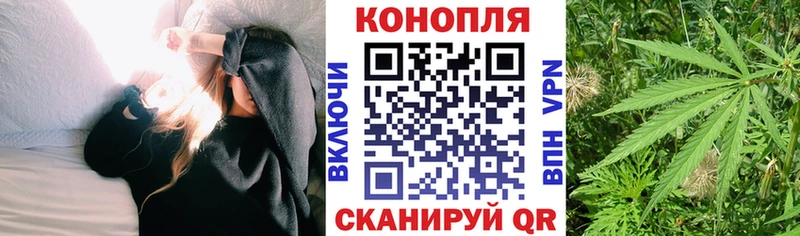 Конопля планчик  Костерёво 